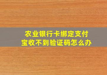 农业银行卡绑定支付宝收不到验证码怎么办