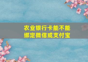 农业银行卡能不能绑定微信或支付宝