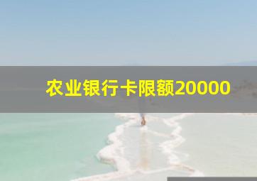 农业银行卡限额20000