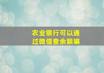 农业银行可以通过微信查余额嘛