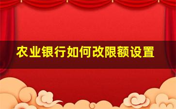 农业银行如何改限额设置