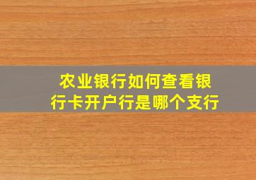 农业银行如何查看银行卡开户行是哪个支行