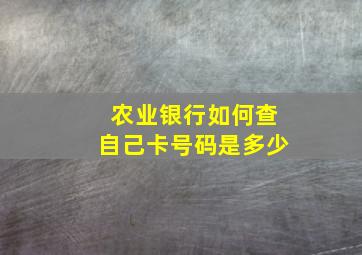 农业银行如何查自己卡号码是多少