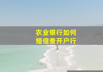 农业银行如何短信查开户行