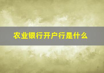 农业银行开户行是什么