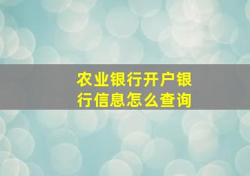 农业银行开户银行信息怎么查询