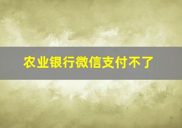 农业银行微信支付不了