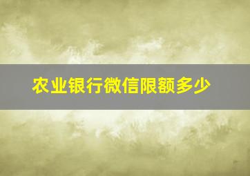 农业银行微信限额多少