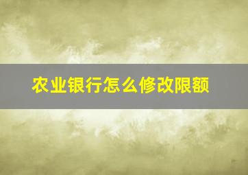 农业银行怎么修改限额