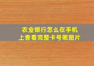 农业银行怎么在手机上查看完整卡号呢图片