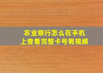 农业银行怎么在手机上查看完整卡号呢视频