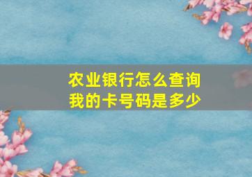 农业银行怎么查询我的卡号码是多少