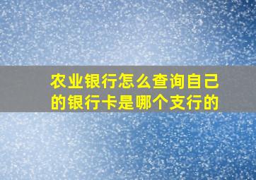 农业银行怎么查询自己的银行卡是哪个支行的