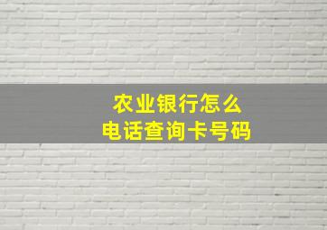 农业银行怎么电话查询卡号码