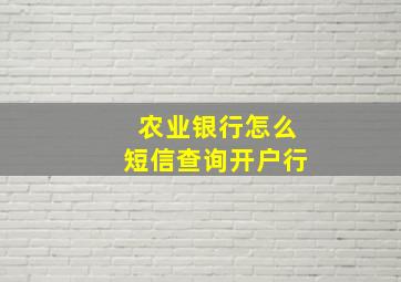 农业银行怎么短信查询开户行