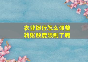 农业银行怎么调整转账额度限制了呢