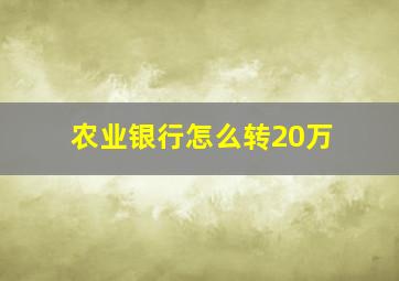 农业银行怎么转20万