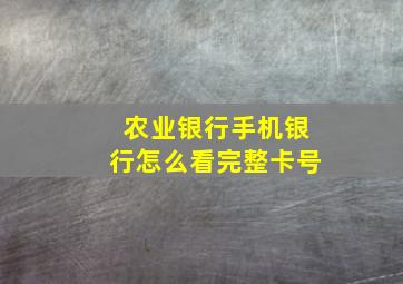 农业银行手机银行怎么看完整卡号