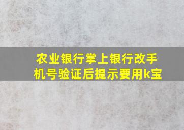 农业银行掌上银行改手机号验证后提示要用k宝