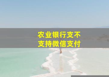 农业银行支不支持微信支付