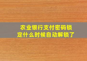 农业银行支付密码锁定什么时候自动解锁了