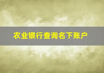 农业银行查询名下账户