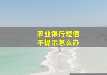 农业银行短信不提示怎么办