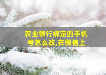 农业银行绑定的手机号怎么改,在微信上