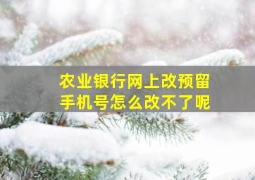 农业银行网上改预留手机号怎么改不了呢