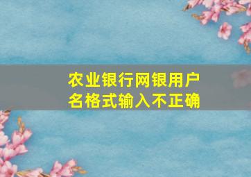 农业银行网银用户名格式输入不正确