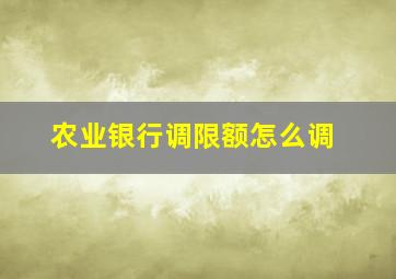 农业银行调限额怎么调