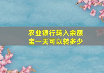 农业银行转入余额宝一天可以转多少