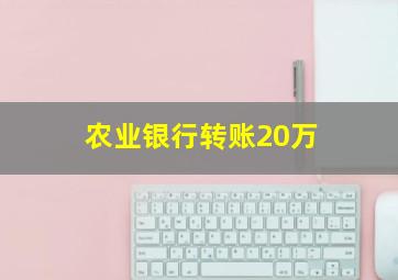 农业银行转账20万