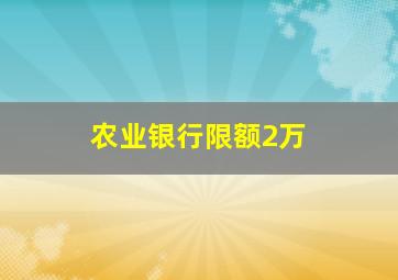 农业银行限额2万