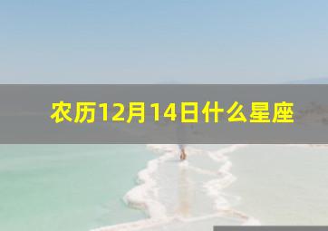 农历12月14日什么星座