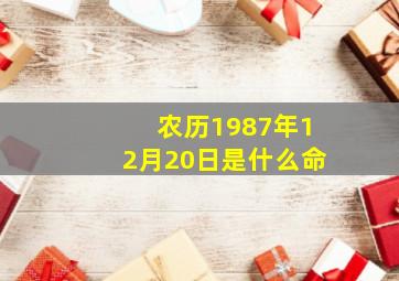 农历1987年12月20日是什么命