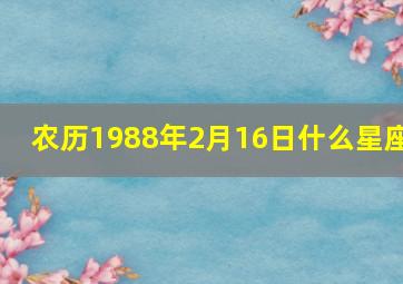 农历1988年2月16日什么星座