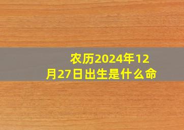 农历2024年12月27日出生是什么命