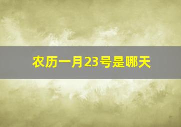 农历一月23号是哪天