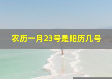 农历一月23号是阳历几号