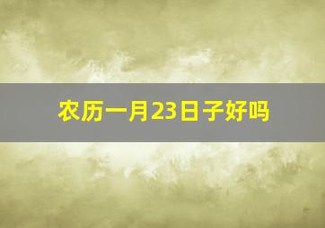 农历一月23日子好吗