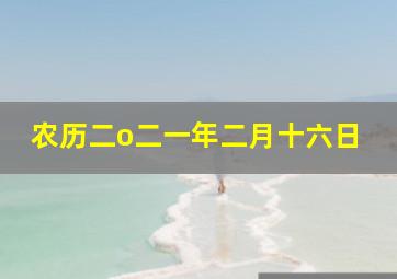 农历二o二一年二月十六日