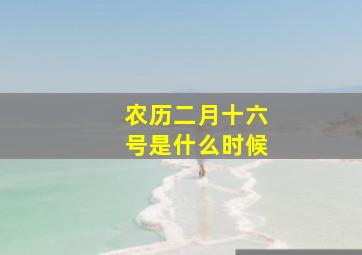 农历二月十六号是什么时候