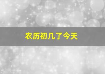 农历初几了今天