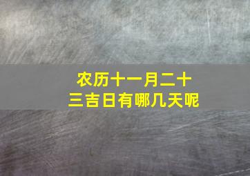 农历十一月二十三吉日有哪几天呢