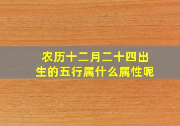 农历十二月二十四出生的五行属什么属性呢