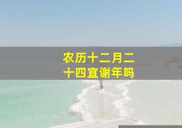 农历十二月二十四宜谢年吗