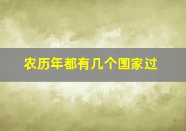 农历年都有几个国家过