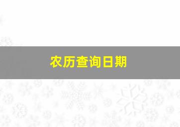 农历查询日期