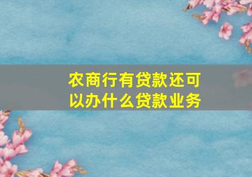 农商行有贷款还可以办什么贷款业务